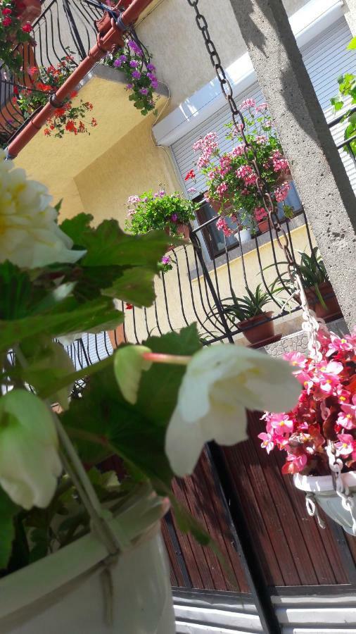 Guest Rooms Ider Sapareva Banya Bagian luar foto
