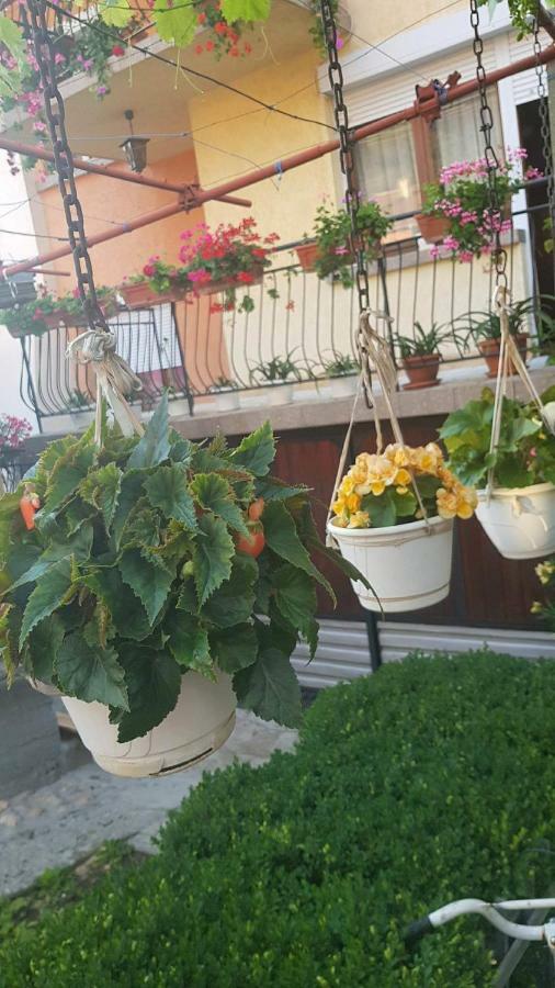 Guest Rooms Ider Sapareva Banya Bagian luar foto
